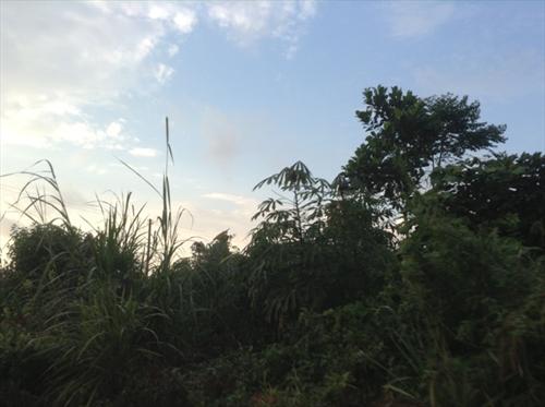 Residential Land for sale in Muyenga Kampala