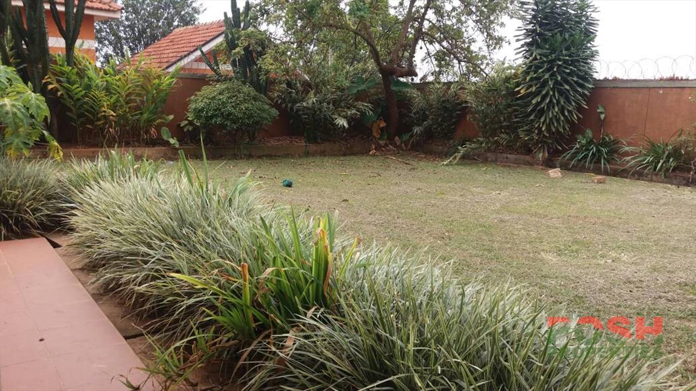 Bungalow for rent in Bukoto Kampala