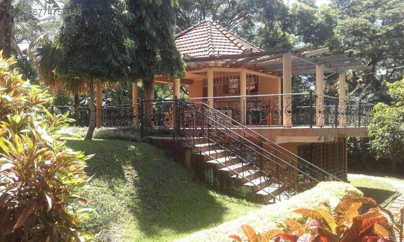 Mansion for rent in Mbuya Kampala