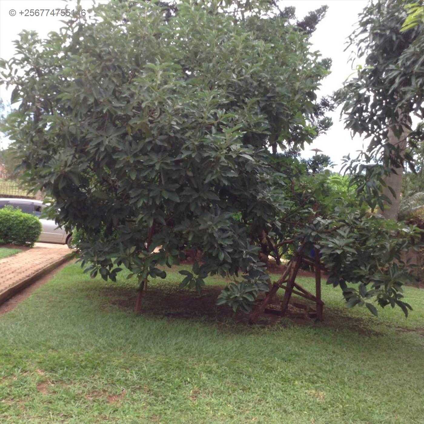 Bungalow for sale in Lubowa Wakiso