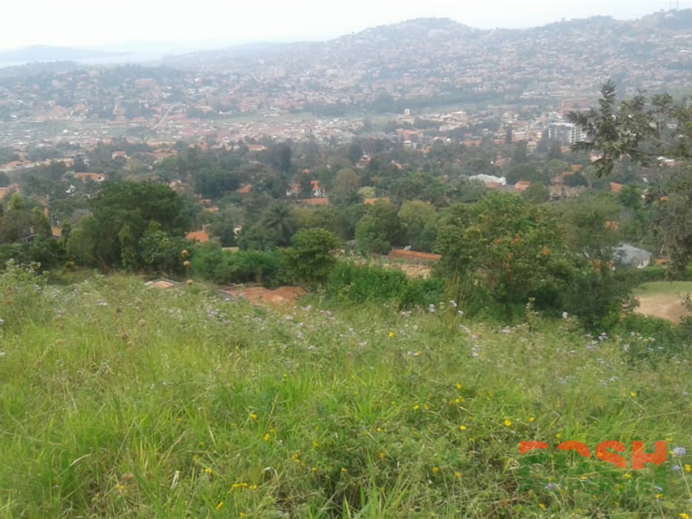 Residential Land for sale in Muyenga Kampala