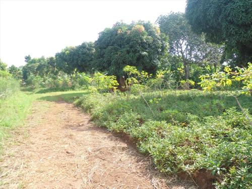 Residential Land for sale in Kira Kampala