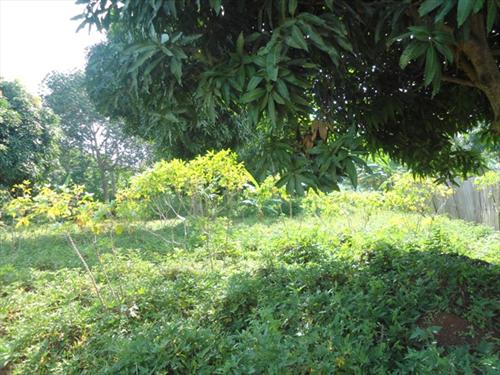 Residential Land for sale in Ntinda Kampala