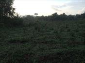 Residential Land for sale in Lubowa Kampala