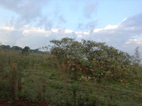 Residential Land for sale in Kitalya Kampala