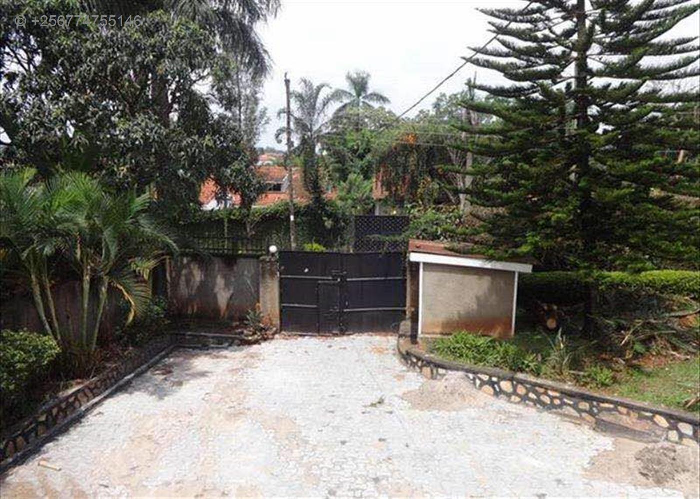 Mansion for rent in Bugoloobi Kampala