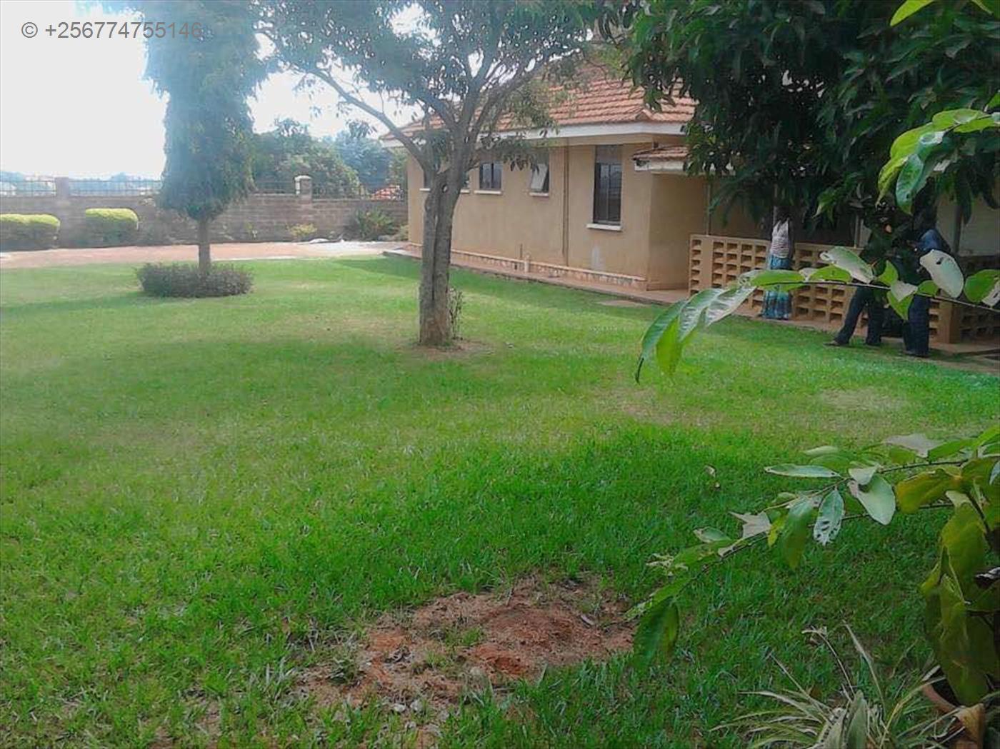 Mansion for rent in Ntinda Kampala