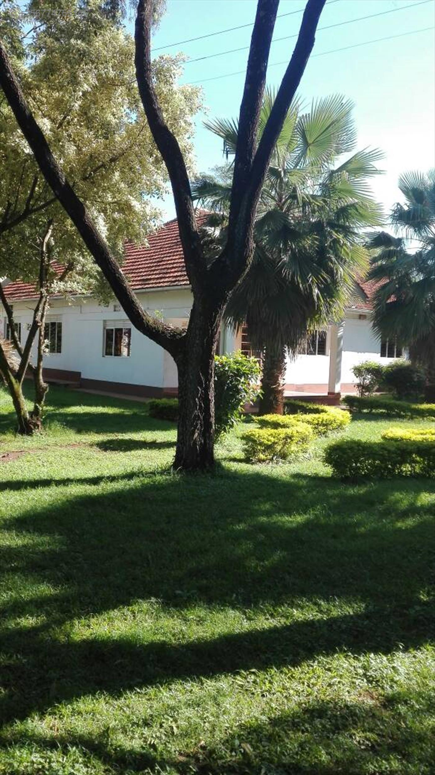 Bungalow for sale in Bugoloobi Kampala