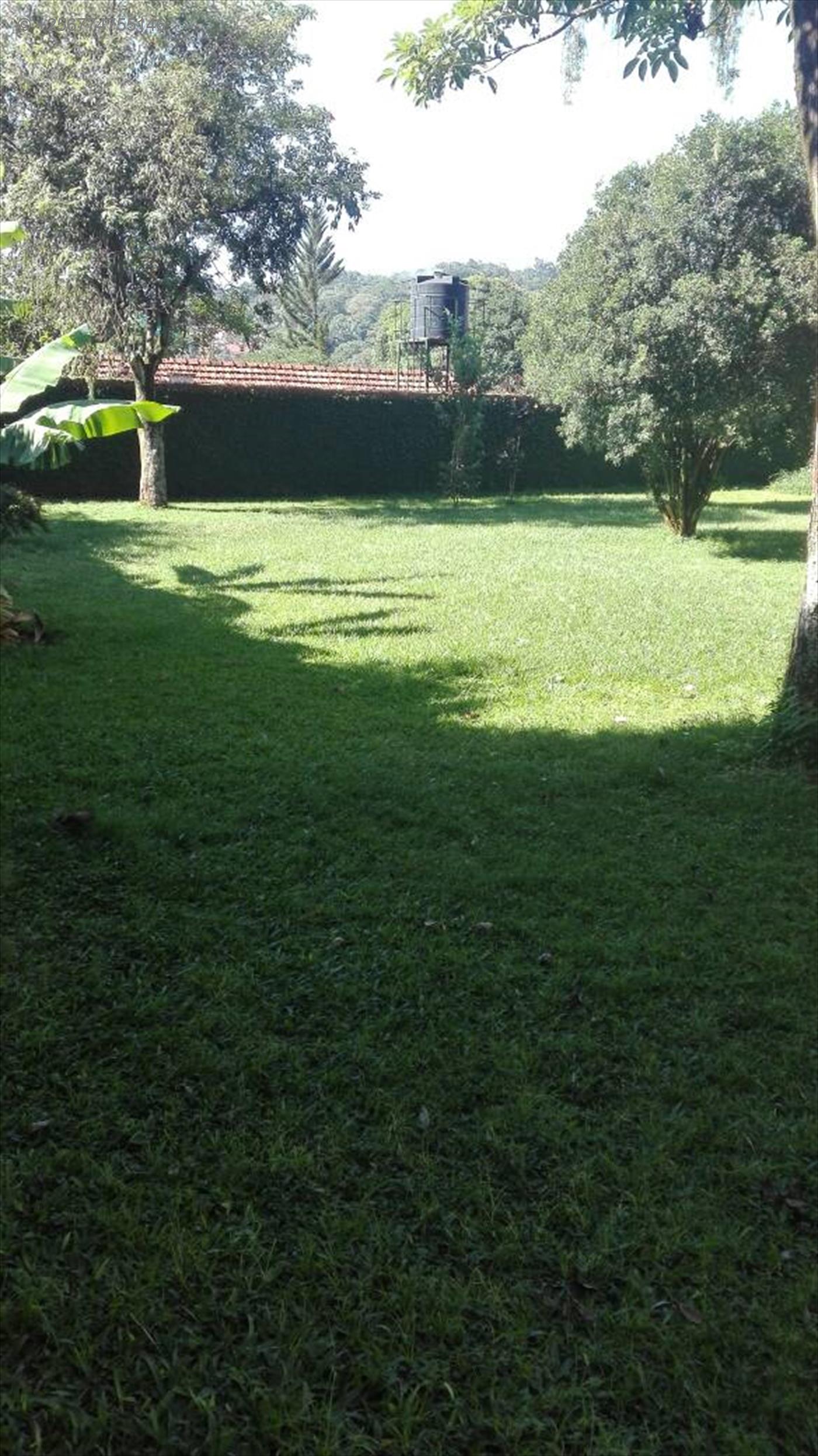 Bungalow for sale in Bugoloobi Kampala