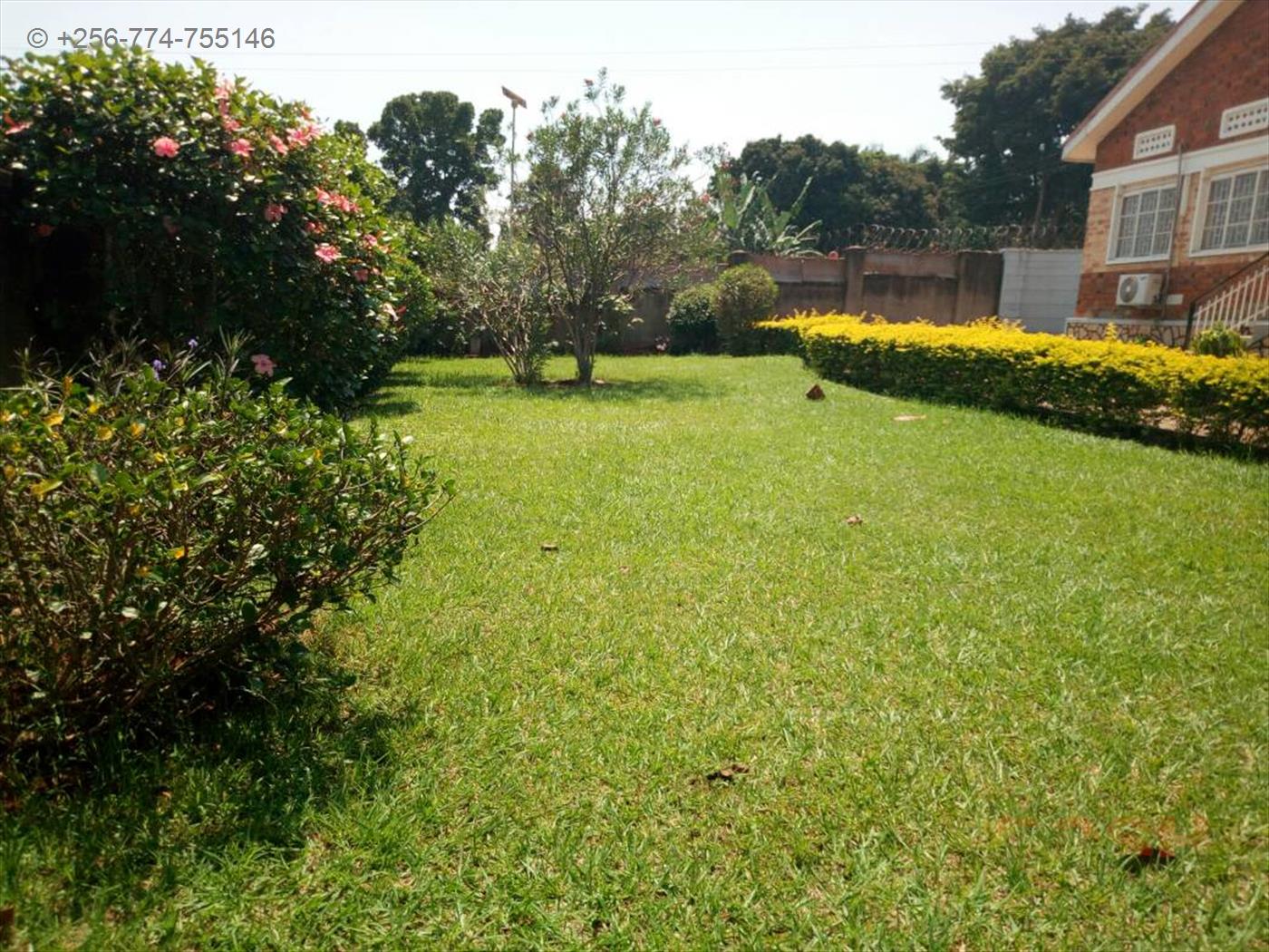 Bungalow for rent in Entebbe Wakiso