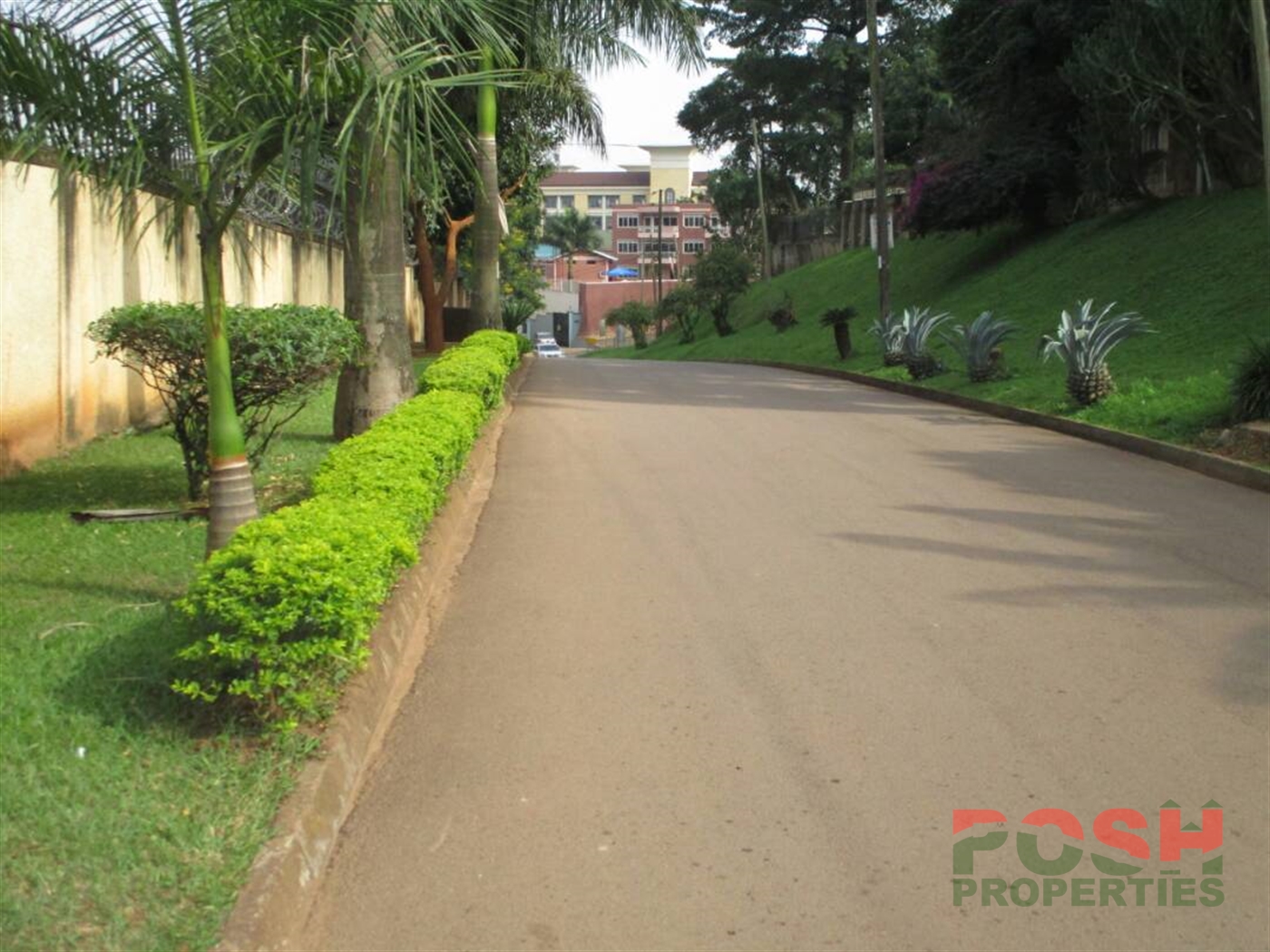 Mansion for rent in Kololo Kampala