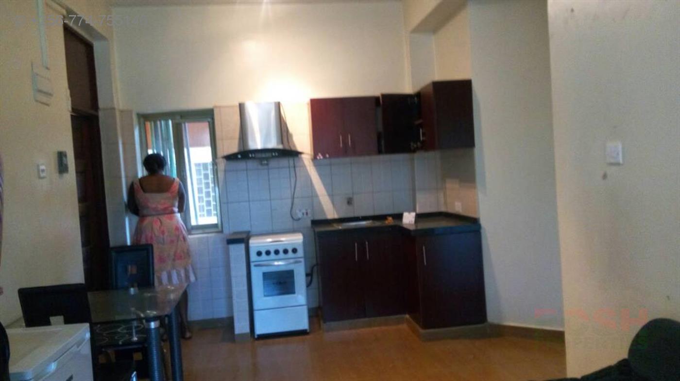 Apartment for rent in Kololo Kampala