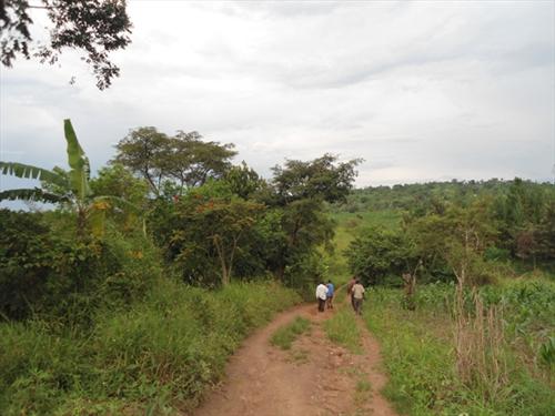 Commercial Land for sale in Kawuku Kampala