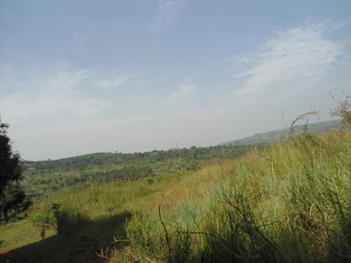 Residential Land for sale in Bwebajja Wakiso