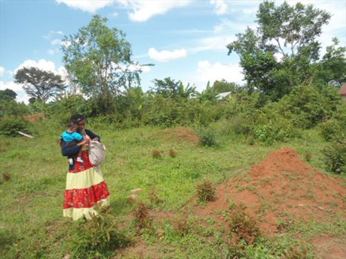 Residential Land for sale in Seeta Mukono