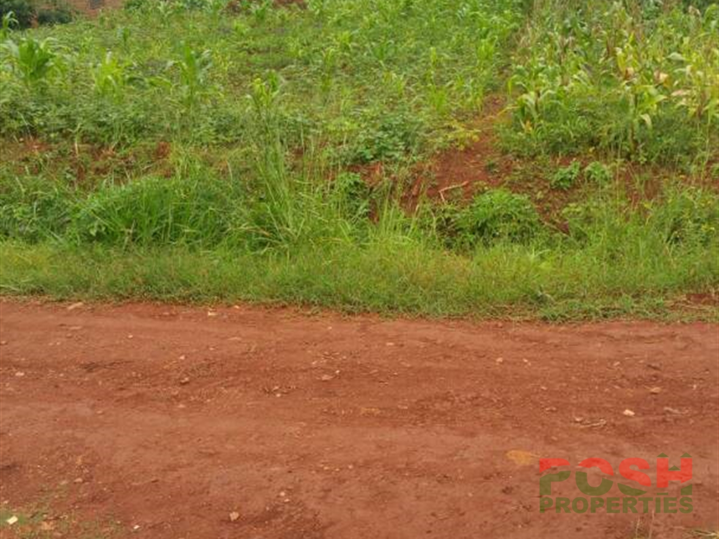 Recreational Land for sale in Bwebajja Wakiso