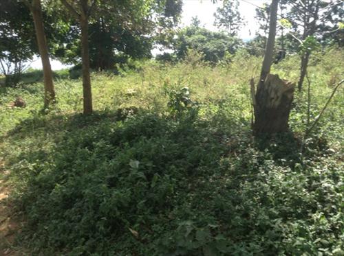 Commercial Land for sale in Bugiri Wakiso