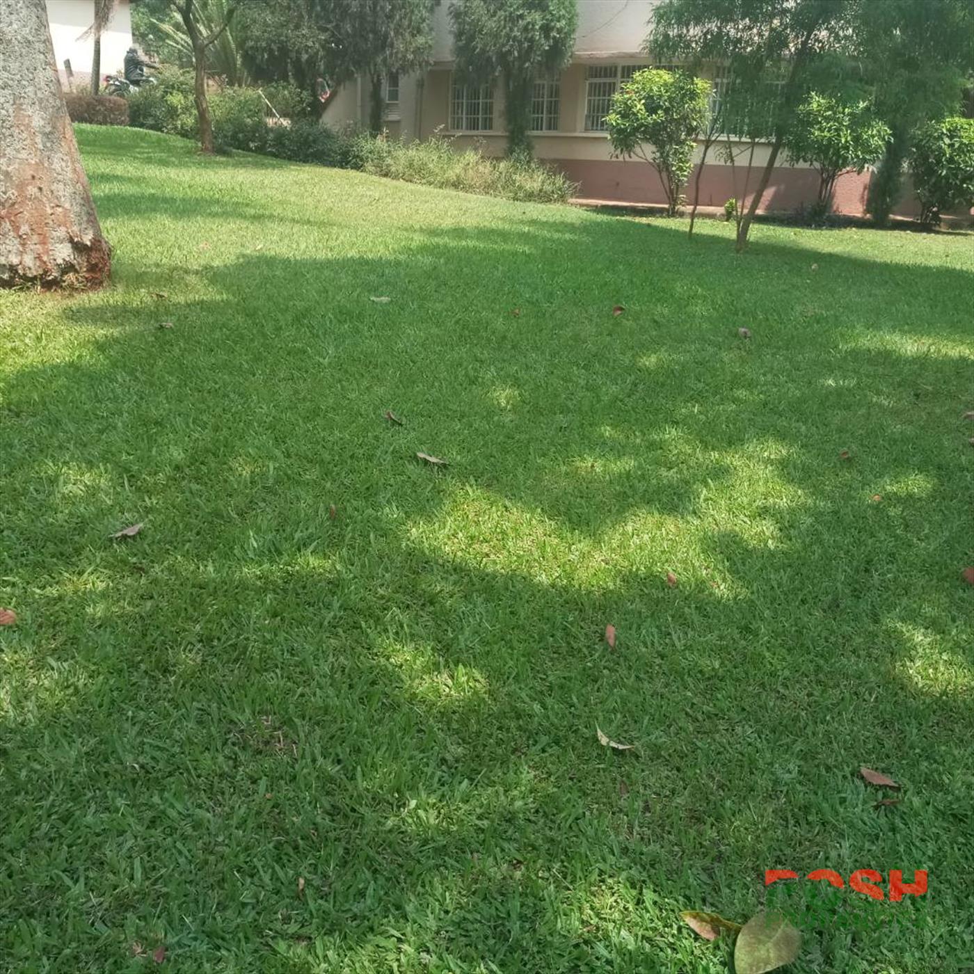 Apartment for rent in Kololo Kampala