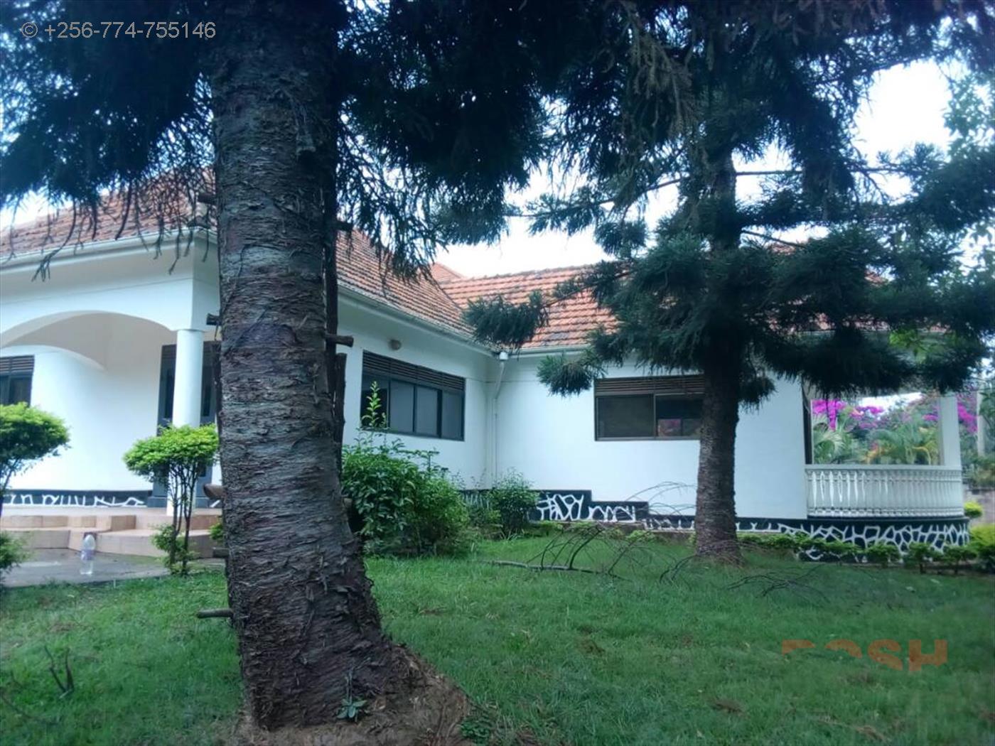 Bungalow for rent in Muyenga Kampala