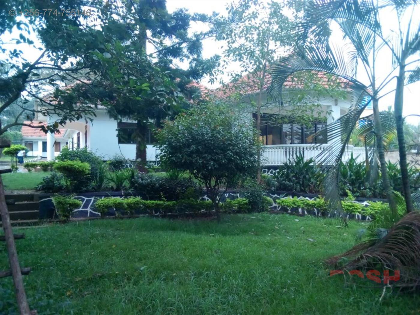 Bungalow for rent in Muyenga Kampala