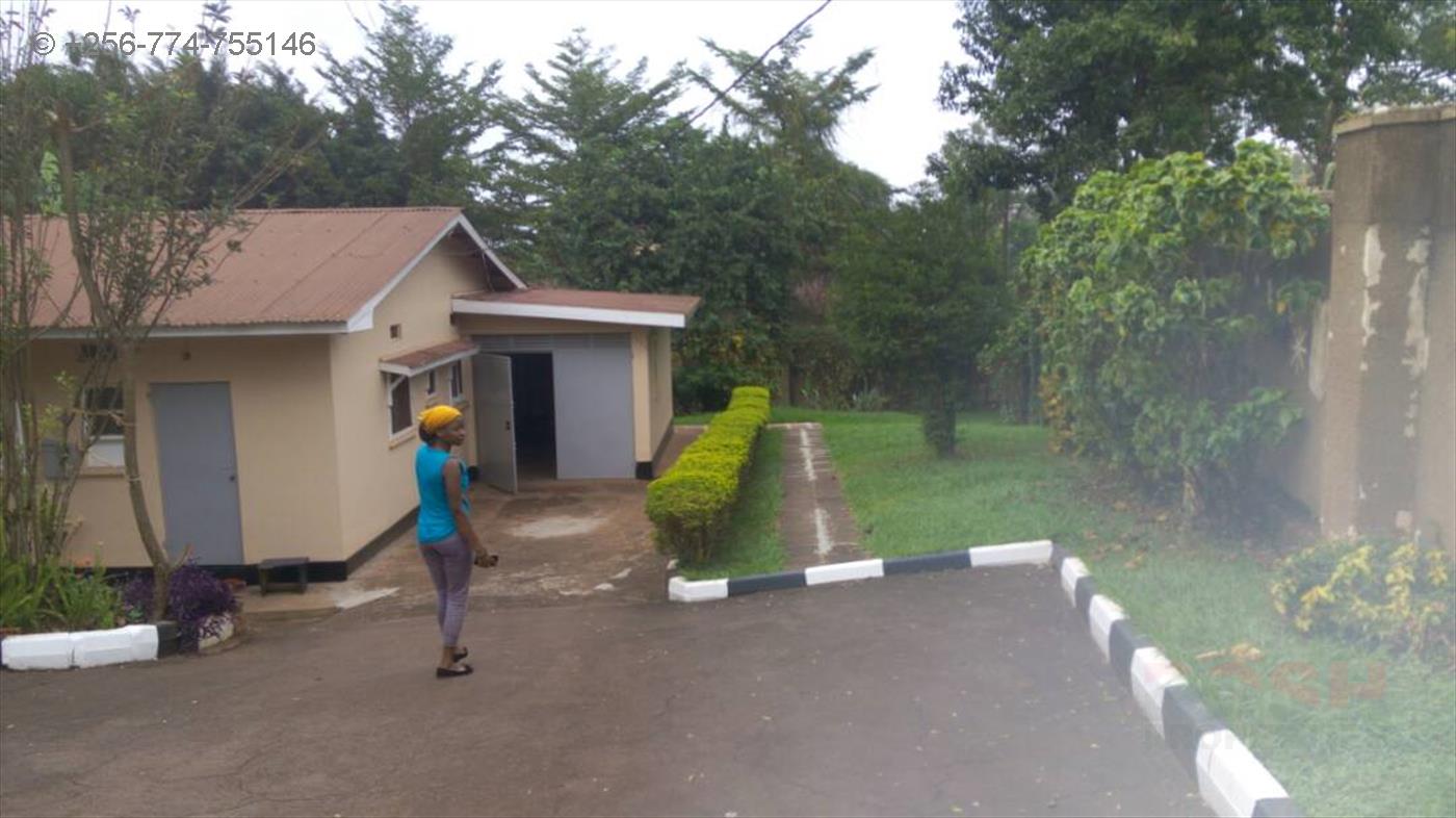 Bungalow for rent in Bugoloobi Kampala