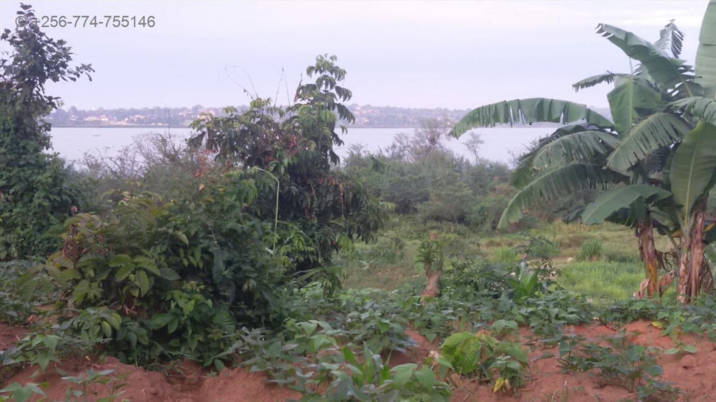 Residential Land for sale in Bugiri Wakiso