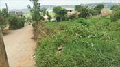 Residential Land for sale in Muyenga Kampala