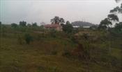 Residential Land for sale in Ntinda Kampala