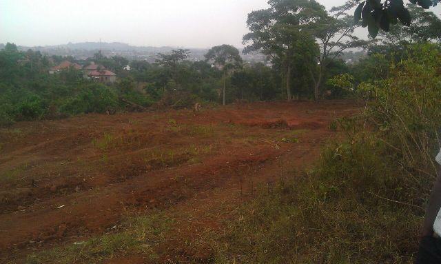 Residential Land for sale in Ntinda Kampala