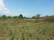 Residential Land for sale in Kawuku Wakiso