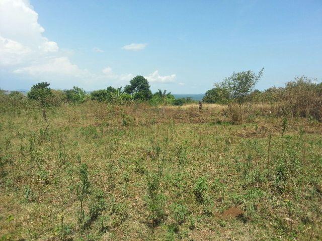 Residential Land for sale in Kawuku Wakiso