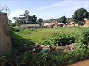 Residential Land for sale in Kansanga Kampala