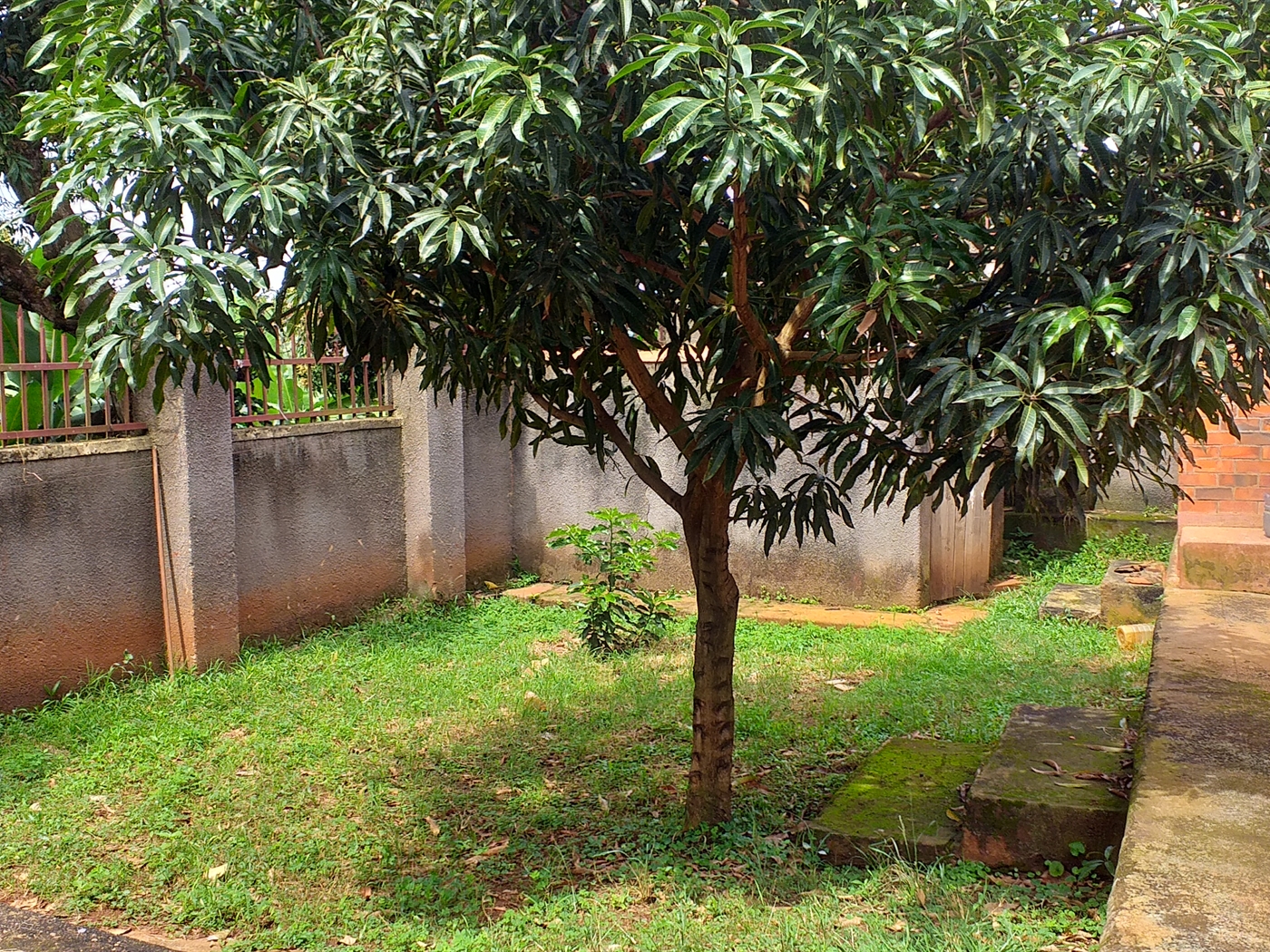 Bungalow for rent in Namulanda Wakiso