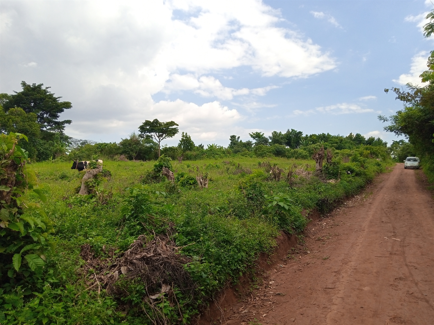 Residential Land for sale in Nsaggu Wakiso