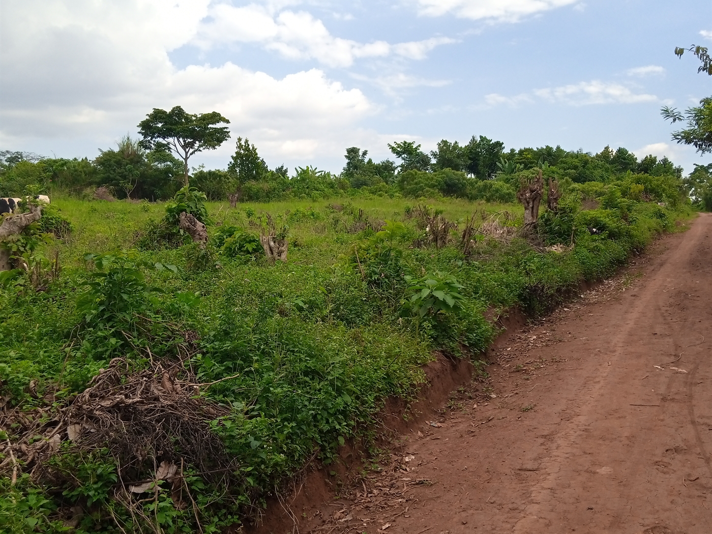 Residential Land for sale in Nsaggu Wakiso