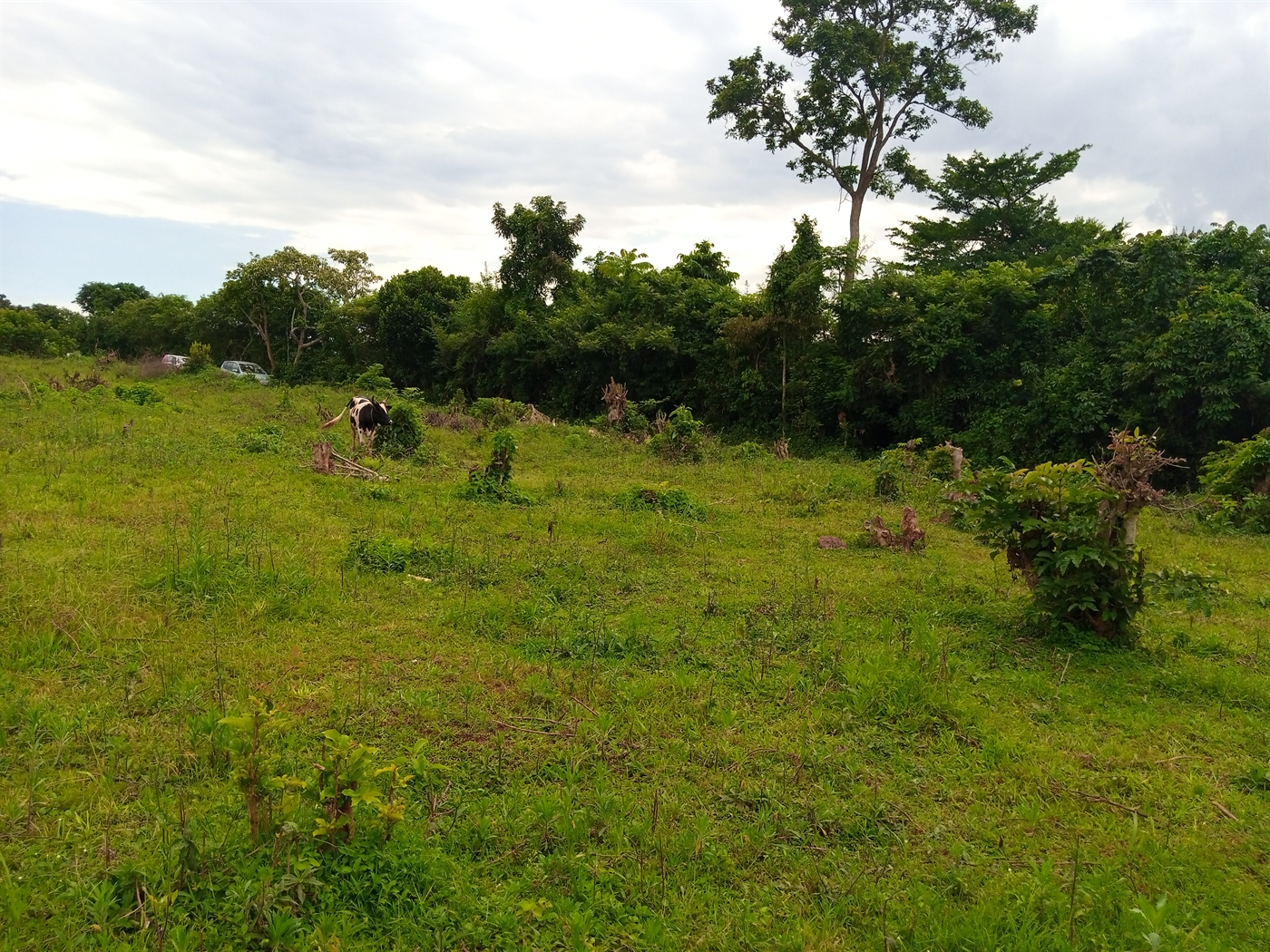 Residential Land for sale in Nsaggu Wakiso