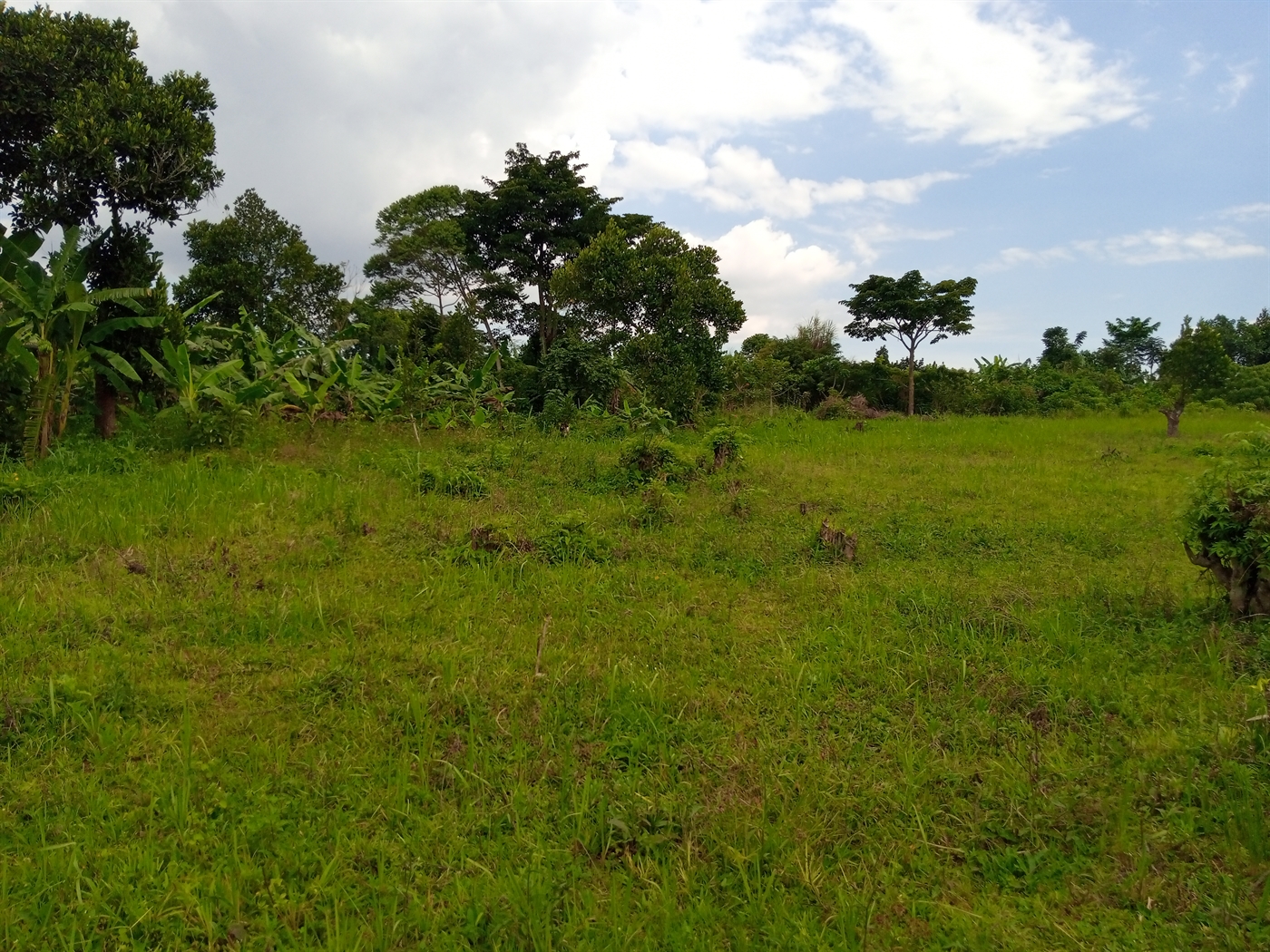 Residential Land for sale in Nsaggu Wakiso