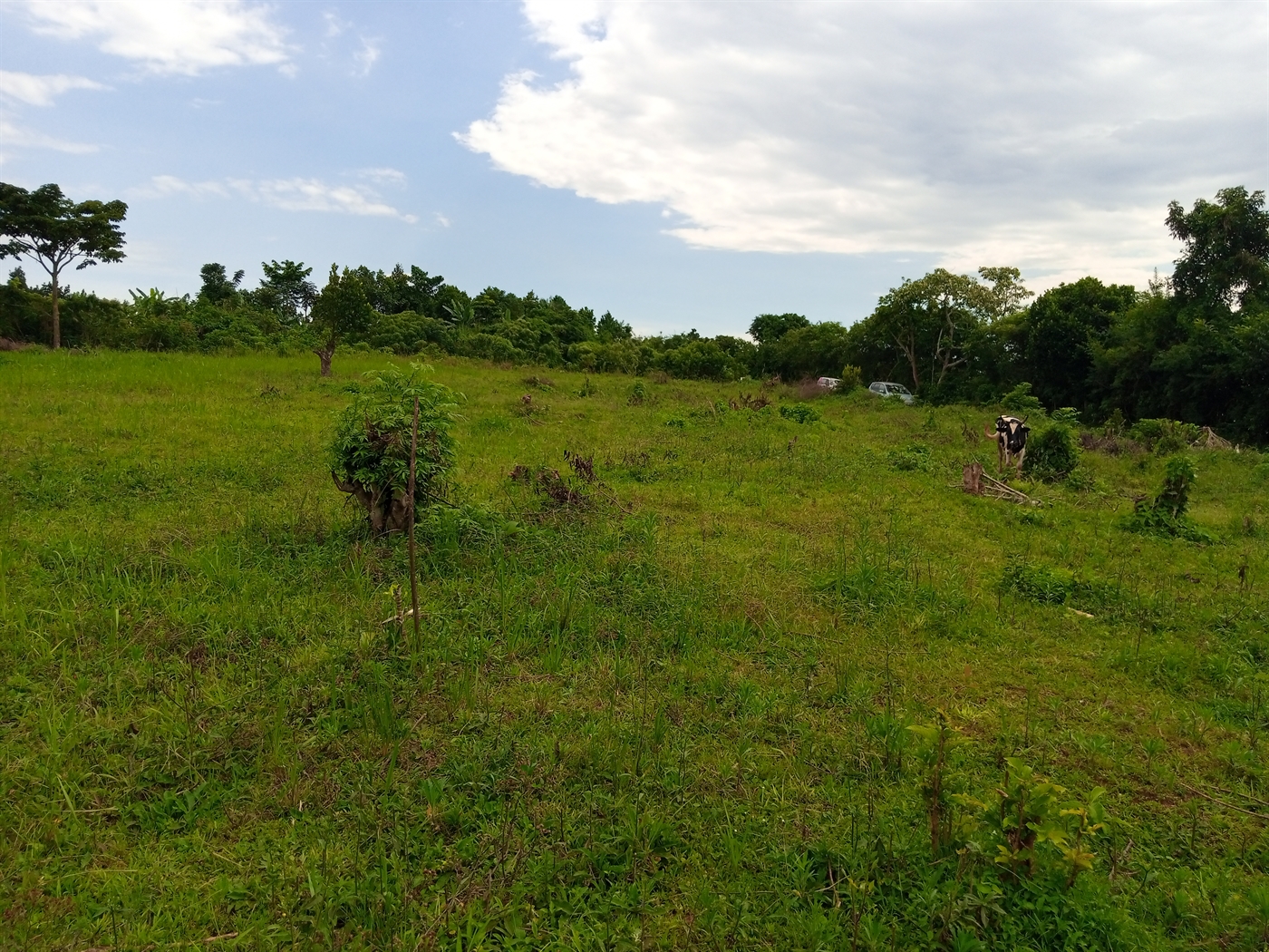 Residential Land for sale in Nsaggu Wakiso