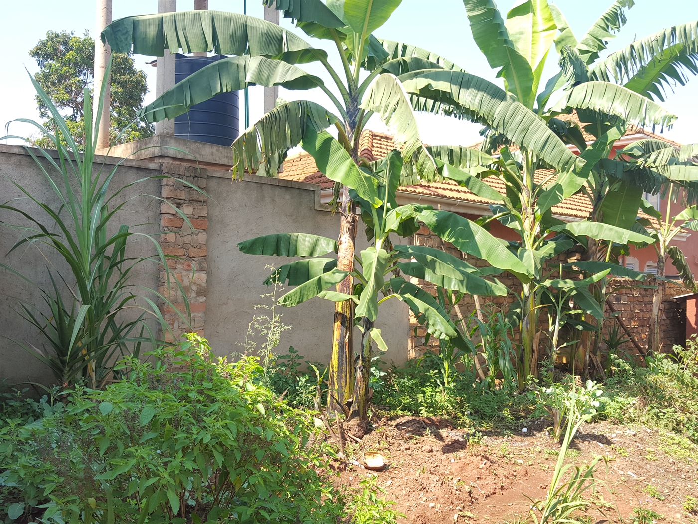 Bungalow for sale in Najjera Wakiso