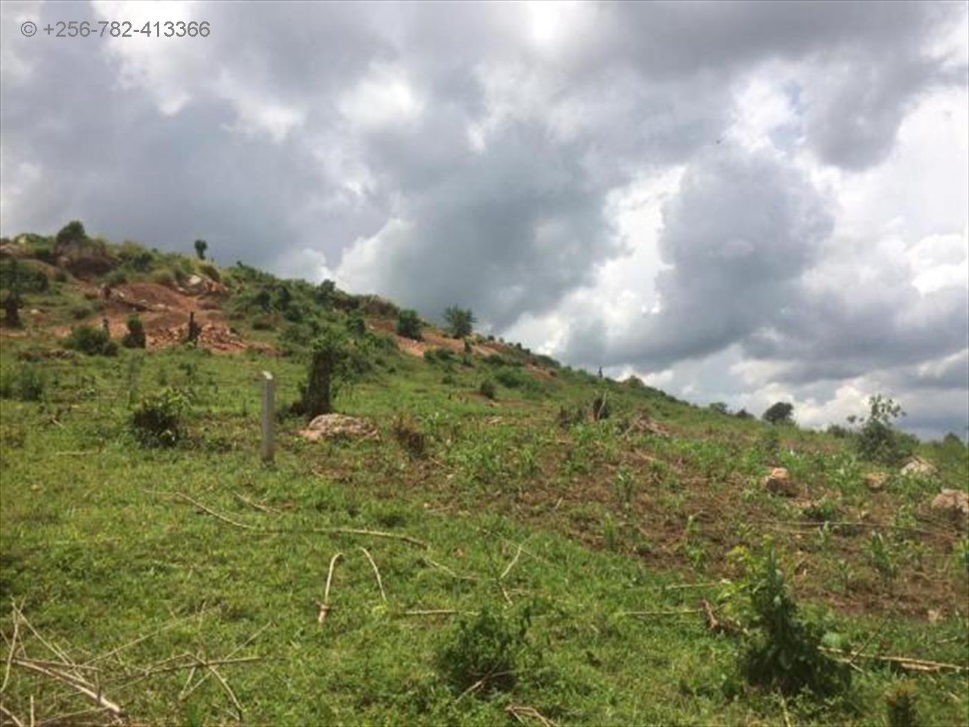 Residential Land for sale in Namataba Mukono