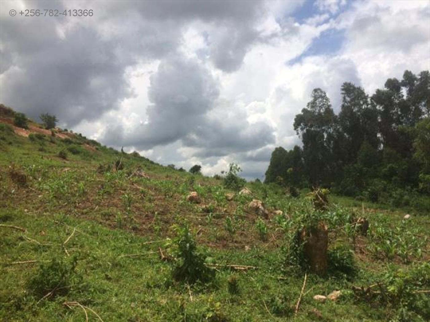 Residential Land for sale in Namataba Mukono