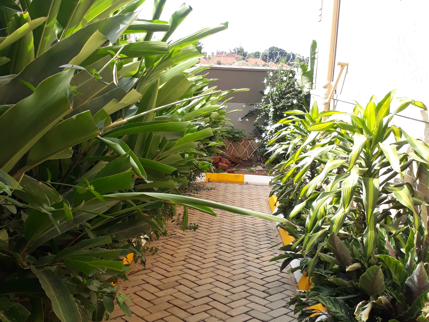 Apartment for rent in Kungu Wakiso