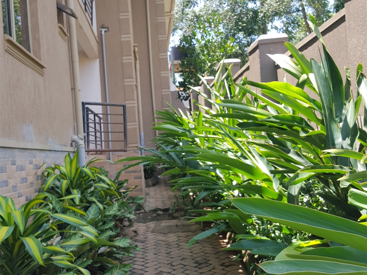 Apartment for rent in Kungu Wakiso