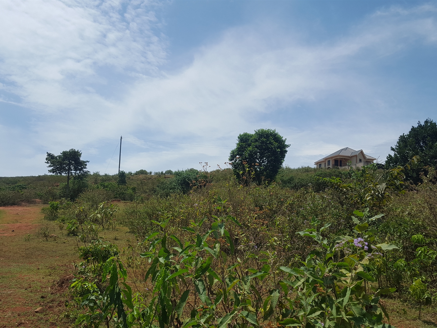 Residential Land for sale in Kawuku Wakiso