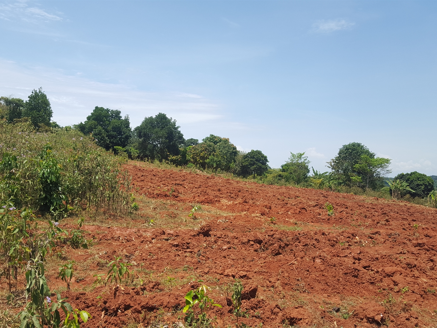 Residential Land for sale in Kawuku Wakiso