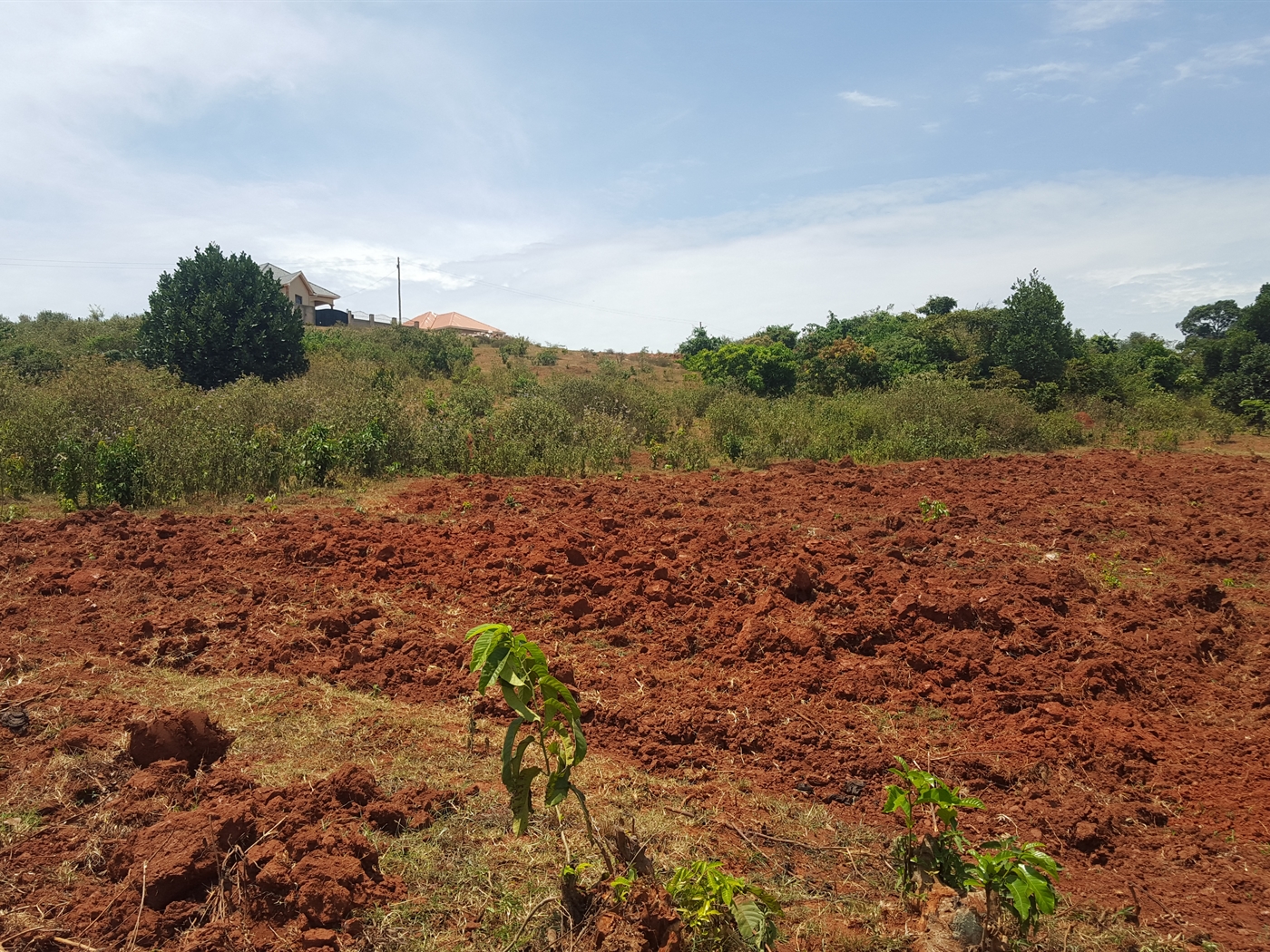 Residential Land for sale in Kawuku Wakiso