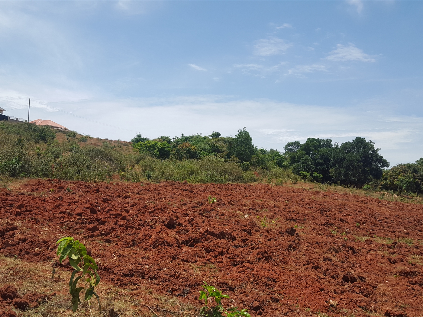 Residential Land for sale in Kawuku Wakiso