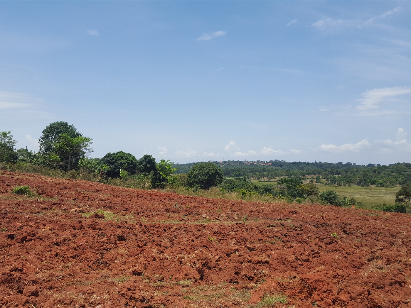 Residential Land for sale in Kawuku Wakiso