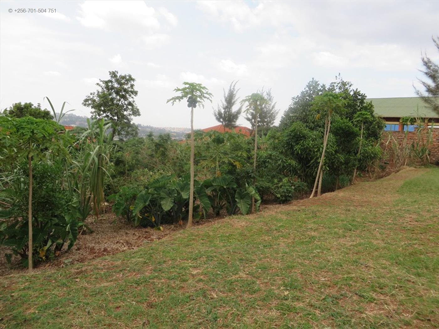 Residential Land for sale in Nabitalo Wakiso