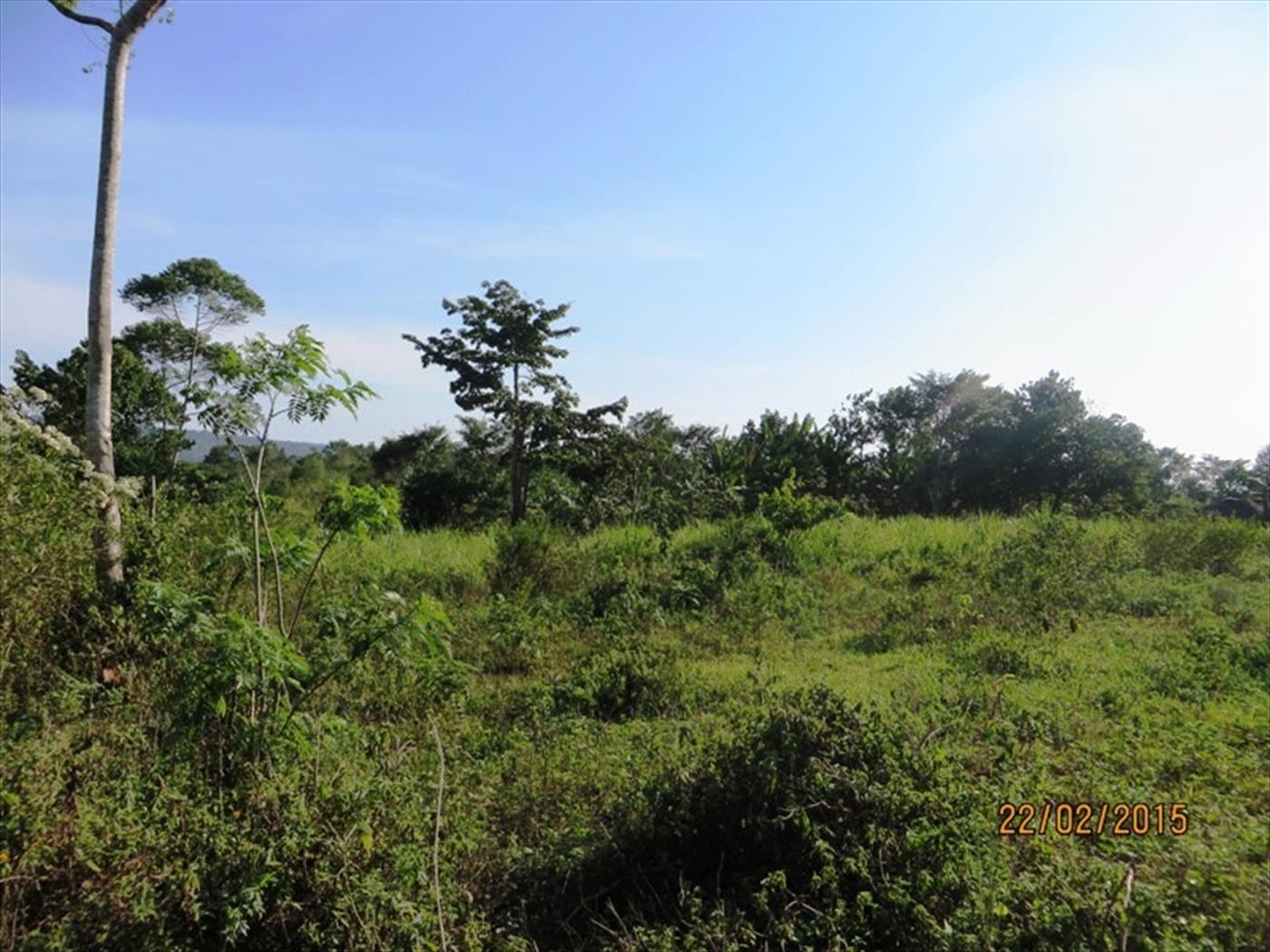 Agricultural Land for sale in Mairye Wakiso